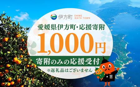 [返礼品なし]愛媛県伊方町・応援寄附1,000円(寄附のみの応援受付 ※返礼品はございません) [ふるさと納税 人気 おすすめ ランキング 応援寄附 返礼品なし 愛媛県 伊方町 送料無料] IK