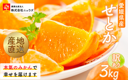 [先行予約]産地直送!愛媛県産せとか(訳あり) 3kg(2026年2月下旬から発送予定)