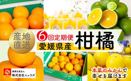 [数量限定] [6回定期便]産地直送!愛媛県産柑橘
