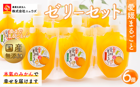 [皮までまるごと国産無添加]愛媛まるごとゼリーセット(6個)