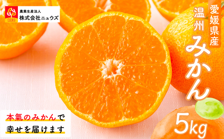 [先行予約]温州みかん(生果)5kg(2025年11月上旬より順次発送)
