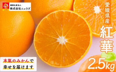 [先行予約]紅華(生果)約2.5kg(2025年12月上旬より順次発送)