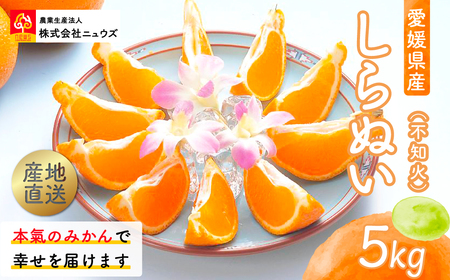 [先行予約]産地直送!愛媛県産しらぬい(不知火) 5kg(2026年2月中旬より順次発送)