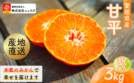 [先行予約]産地直送!愛媛県産甘平 3kg(訳あり)(2026年1月下旬より発送予定)