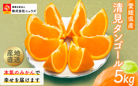 [先行予約]産地直送!愛媛県産清見タンゴール 5kg(2026年3月上旬より順次発送)