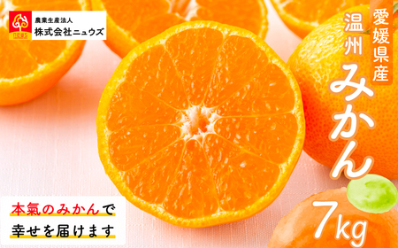 [先行予約]産地直送!愛媛県産温州みかん 7kg(2025年11月上旬より順次発送)
