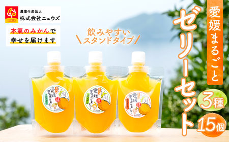 飲みやすいスタンドタイプ 愛媛まるごとゼリー 3種15個 ※離島への配送不可