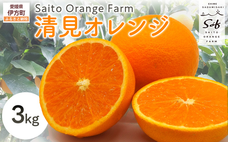 Saito Orange Farm̐IW3kg wsi2026N3{菇j IKTAQ006