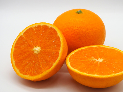 【先行予約】Saito Orange Farmの清見タンゴール10kg（2026年3月中旬頃より順次発送） IKTAQ008