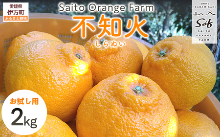 [先行予約][お試し!]Saito Orange Farmの不知火2kg (2026年2月下旬頃より順次発送) IK