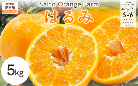 ys\zSaito Orange Farm̂͂5kg i2026N2㒆{菇j IKTAQ016