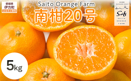 ys\zSaito Orange Farm̓승205kgi2025N12{菇j IKTAQ018