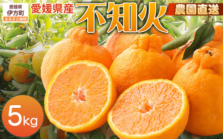 [栽培期間中農薬不使用][先行受付][数量限定]農園直送!愛媛県産不知火 5kg (2026年1月上旬頃より順次発送)