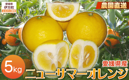 [栽培期間中農薬不使用][先行受付][数量限定]農園直送!愛媛県産ニューサマーオレンジ 5kg (2026年3月下旬頃より順次発送)