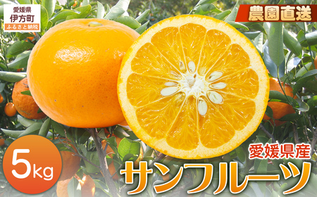 [栽培期間中農薬不使用][先行受付][数量限定]農園直送!愛媛県産サンフルーツ 5kg (2026年4月上旬頃より順次発送)