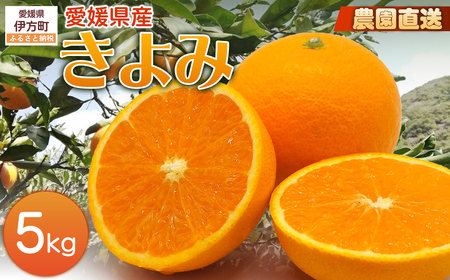 [栽培期間中農薬不使用][先行受付][数量限定]農園直送!愛媛県産 きよみ 5kg (2026年2月下旬頃より順次発送)