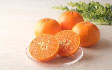 [先行予約][数量限定][特選]＼農園直送/愛媛県産せとか 約3kg ※離島への配送不可(2026年2月下旬より順次発送) [ふるさと納税 人気 おすすめ ランキング 柑橘 みかん ミカン 蜜柑 せとか 果物 フルーツ 柑橘の大トロ 農園直送 産地直送 岡市 愛媛県産 伊方町 送料無料]
