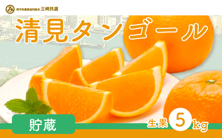 ys\z^S[iE5kgjւ̔zsi2026N4{菇\j IKTBD007