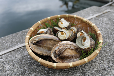 【数量限定】佐田岬海士のあわび・さざえセットB ※北海道・東北地方・沖縄・離島への配送不可 【 あわび 鮑 赤あわび アワビ さざえ サザエ 】 IKTJ002