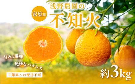 ys\zyƒpzsm 3kg ւ̔zsi2026N2{菇\j IKTAC003
