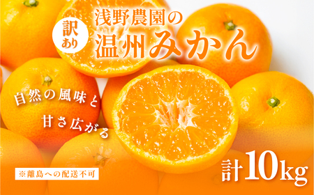 ys\z_̉B݂ 󂠂10kg ւ̔zsi2025N12{`12{ɏ\j IKTAC005