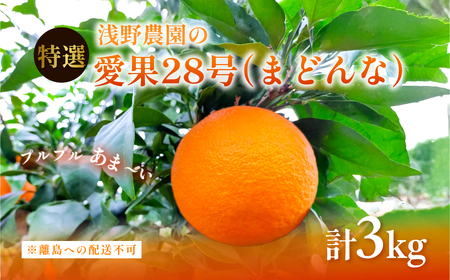 ys\zyʌz_̈28i܂ǂȁjI3kg ւ̔zsi2025N12{`2026N1{ɏ\j IKTAC023
