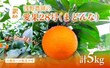 [先行予約][数量限定]浅野農園の愛果28号(まどんな)訳あり5kg ※離島への配送不可(2025年12月中旬〜2026年1月中旬頃に順次発送予定) IK