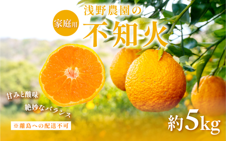 ys\zyƒpz_̕sm v5kg ւ̔zsi2026N2{菇\j IKTAC029