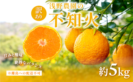 [先行予約][訳あり]浅野農園の不知火 計5kg ※離島への配送不可(2026年2月上旬頃より順次発送予定) IK