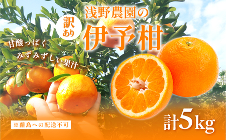 ys\zy󂠂z_̈ɗ\ 5kg ւ̔zsi2026N2{菇\j IKTAC034
