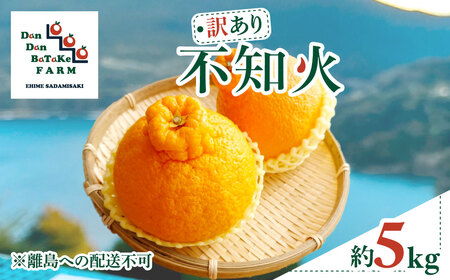 [[訳あり]不知火 約5kg 柑橘 みかん 果物 フルーツ 愛媛県産 農家直送 IK