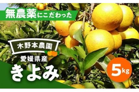 [栽培期間中農薬不使用][先行受付][数量限定]農園直送!愛媛県産 きよみ 5kg | 柑橘 みかん ミカン 蜜柑 フルーツ 果物 ギフト 贈り物 栽培期間 無農薬 愛媛県産 ※2025年2月下旬〜5月下旬頃に順次発送予定