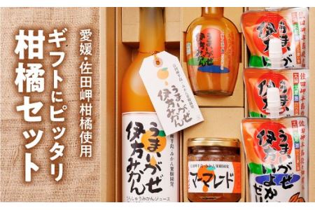 [愛媛県産柑橘使用]四国のしっぽ発 うまいがぜセット
