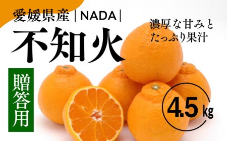 [先行予約][農家直送]愛媛県産 不知火 贈答用 4.5kg | 柑橘 蜜柑 みかん ミカン 果物 フルーツ でこぽん 不知火と同品種 ※2025年2月下旬〜3月下旬頃に順次発送予定