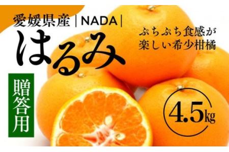 [先行予約][農家直送]愛媛県産 はるみ 贈答用 4.5kg | 柑橘 蜜柑 みかん ミカン 果物 フルーツ ※2025年1月中旬〜2月上旬頃に順次発送予定