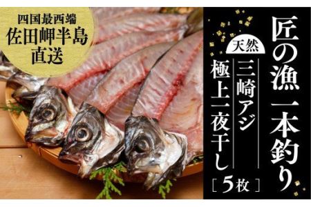 アジ 釣り 検索結果 ふるさと納税サイト ふるなび