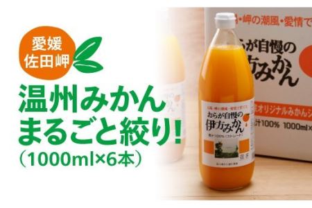 【愛媛県産】おらが自慢の伊方みかんジュース（1000ml×6本）ストレート果汁100％