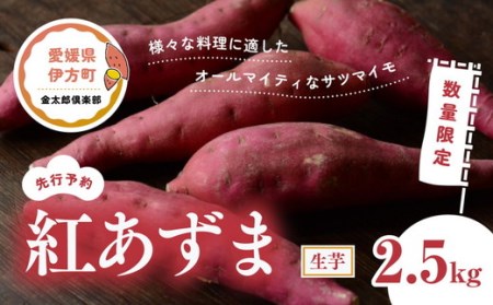 [先行予約][数量限定]紅あずま 生芋(2.5kg)| さつまいも サツマイモ 紫 産地直送 ※2024年12月上旬〜2025年4月下旬頃に順次発送予定