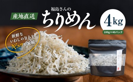 [網元直送・個包装]福島さんちのちりめん100g×40パック◇| 愛媛県産 伊方町 佐田岬 朝日共販 ちりめん 産地直送 極上鮮度 旨味凝縮 贈答用