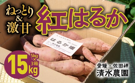 愛媛県伊方町産　瀬戸の紅はるか15kg（5kg×3箱） | さつまいも　サツマイモ　芋 ※着日指定不可 ※離島への配送不可