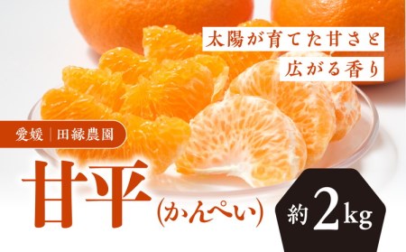 [先行予約][数量限定]田縁農園の甘平(かんぺい)2kg | 柑橘 みかん ミカン フルーツ 果物 愛媛 ※離島への配送不可 ※2025年3月下旬〜4月中旬頃に順次発送予定