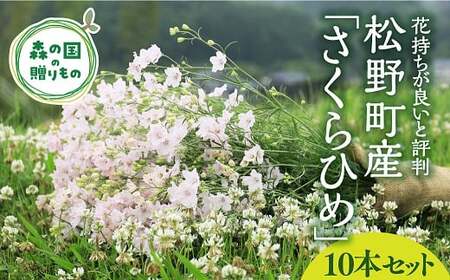 [産地直送]さくらひめ(秀)10本セット ※2026年2月上旬〜2月下旬頃に順次発送予定