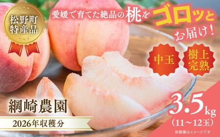 [2026年出荷分先行予約]愛媛の桃どころ 「綱崎農園」から届ける中玉桃 約3.5kg | ふるさと納税 桃 冷蔵 松野町 フルーツ ギフト ※北海道・沖縄・離島への配送不可 ※2026年6月中旬〜8月中旬もしくは下旬頃に順次発送予定
