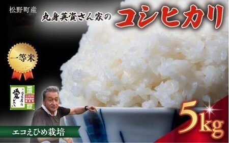 [一等米]丸身さん家のエコえひめ栽培コシヒカリ 5kg | 米 令和7年産 5kg 国産 ふるさと納税 ※離島への配送不可