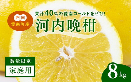 [先行予約][家庭用]河内晩柑8kg | 河内晩柑 訳あり 正品 贈答 柑橘 みかん 愛南ゴールド サイズミックス 規格外 ※離島への配送不可 ※2025年5月上旬〜6月下旬頃に順次発送予定