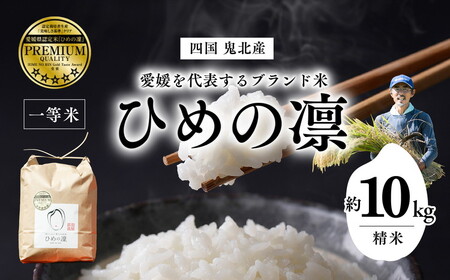 yR7NYzyQuhzЂ߂̙z 10kgiv~ANIeBj b  ĕs ĕi   ƎҎx    Y  ͂   Sn QY