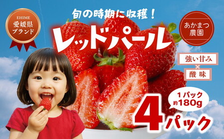 [2026年春収穫分][先行予約]レッドパール 4パック(約720g) | いちご イチゴ 苺 大福 ジャム タルト アイス ケーキ ギフト あかまつ農園 ※離島への配送不可 ※2026年2月中旬頃より順次発送予定