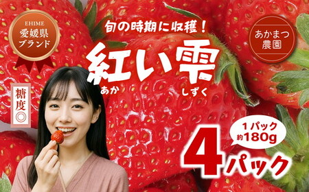 [2026年春収穫分][先行予約]紅い雫 4パック(約720g) | いちご イチゴ 苺 大福 ジャム タルト アイス ケーキ ギフト あかまつ農園 ※離島への配送不可 ※2026年2月中旬頃より順次発送予定