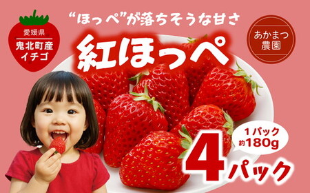 [2026年春収穫分][先行予約]紅ほっぺ 4パック(約720g) | いちご イチゴ 苺 大福 ジャム タルト アイス ケーキ ギフト あかまつ農園 ※離島への配送不可 ※2026年2月中旬頃より順次発送予定
