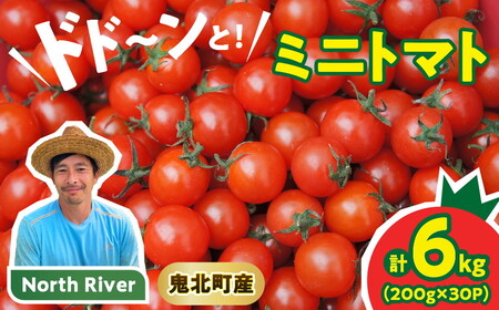 yso׃TCYIzn粂񂿂̃~jg}g 6kgi30pbNj | Q Sk North River }l ނ pX^ X[v ܂ 11 xW^u ʕ g}g ؃LO 